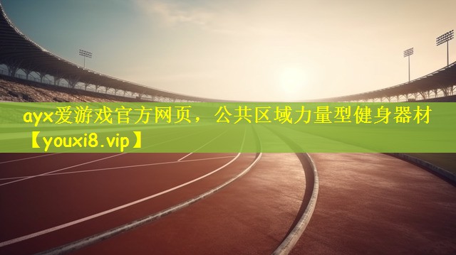 ayx爱游戏官方网页，公共区域力量型健身器材