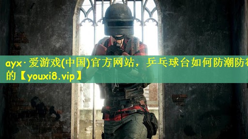ayx·爱游戏(中国)官方网站，乒乓球台如何防潮防霉的