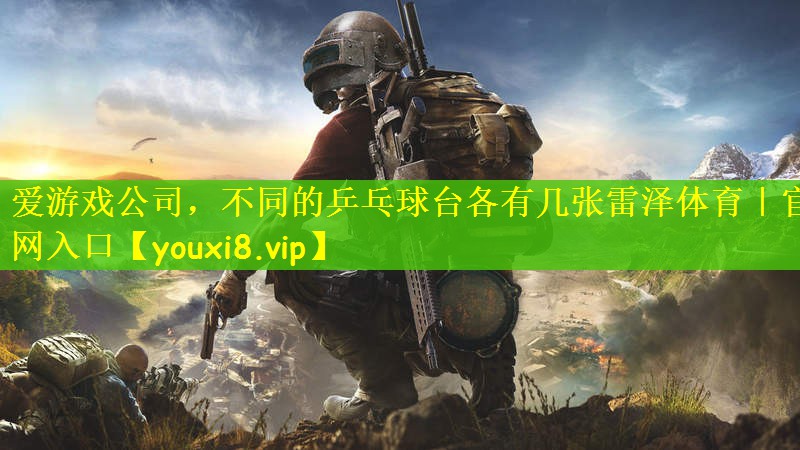 爱游戏公司，不同的乒乓球台各有几张雷泽体育｜官网入口