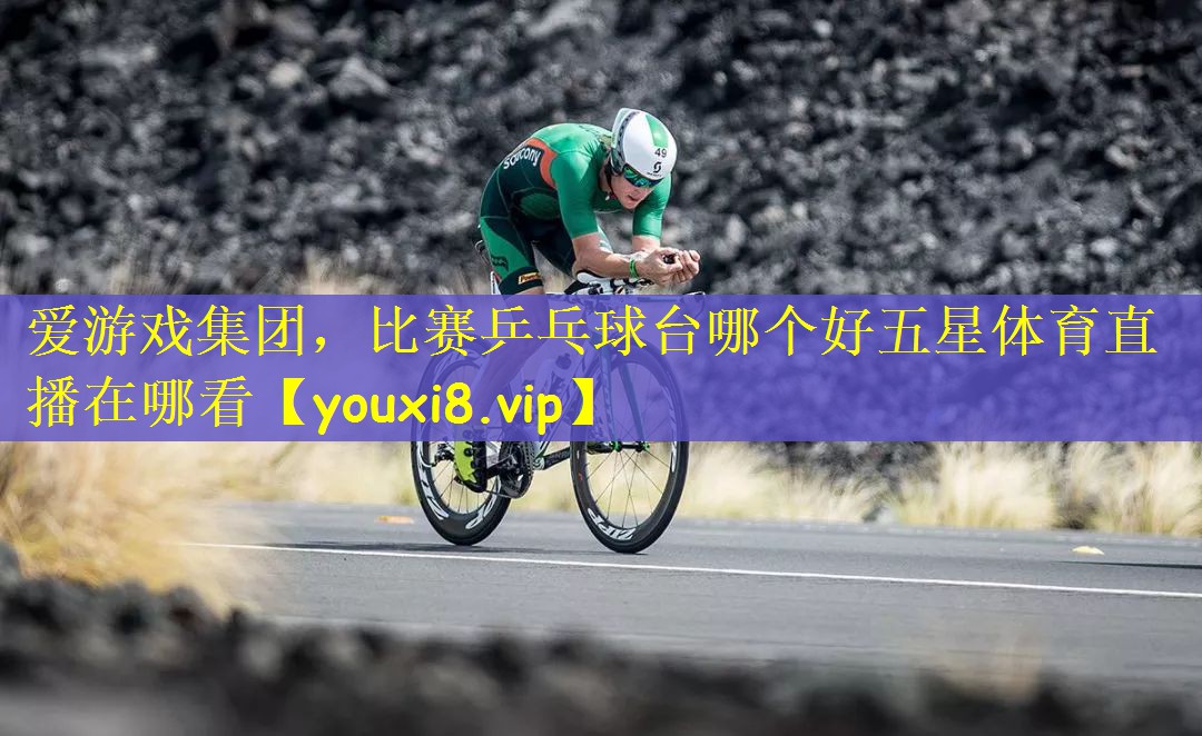 爱游戏集团，比赛乒乓球台哪个好五星体育直播在哪看