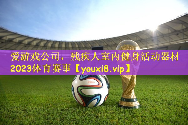 爱游戏公司，残疾人室内健身活动器材2023体育赛事