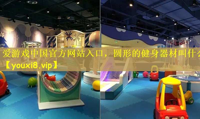 圆形的健身器材叫什么