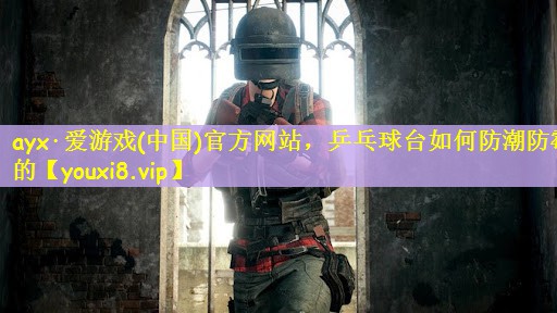 乒乓球台如何防潮防霉的