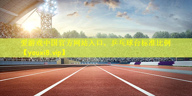 乒乓球台标准比例