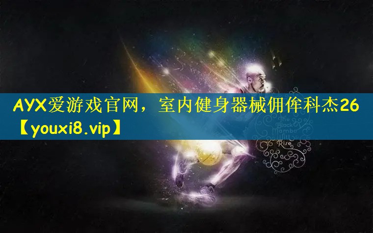 室内健身器械佣侔科杰26